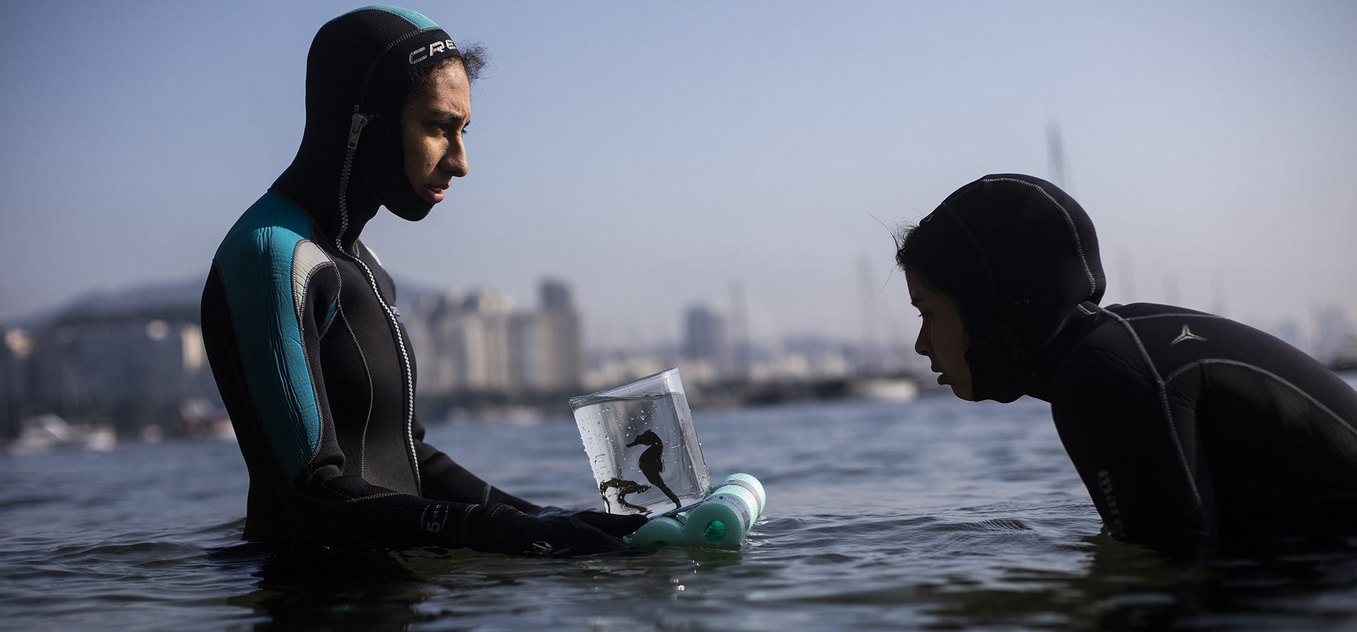 Las biólogas Tatiana Fernández, a la derecha, y Gabriela Santos recolectan caballitos de mar del agua frente a la playa de Urca como parte del proyecto de caballitos de mar de Río de Janeiro dirigido por la Universidad de Santa Úrsula, en Río de Janeiro, Brasil. Desde la prohibición nacional de 2014 de su captura y venta a los aficionados a los acuarios, a pesar de que son sensibles al agua contaminada, los caballitos de mar se devuelven al mar después de unas pocas semanas