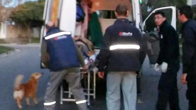 Tony, el perro que abrazó a su dueño tras un accidente