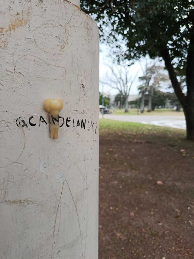 Viral: un niño inventó un juego de buscar muñecos escondidos en las calles de Rosario