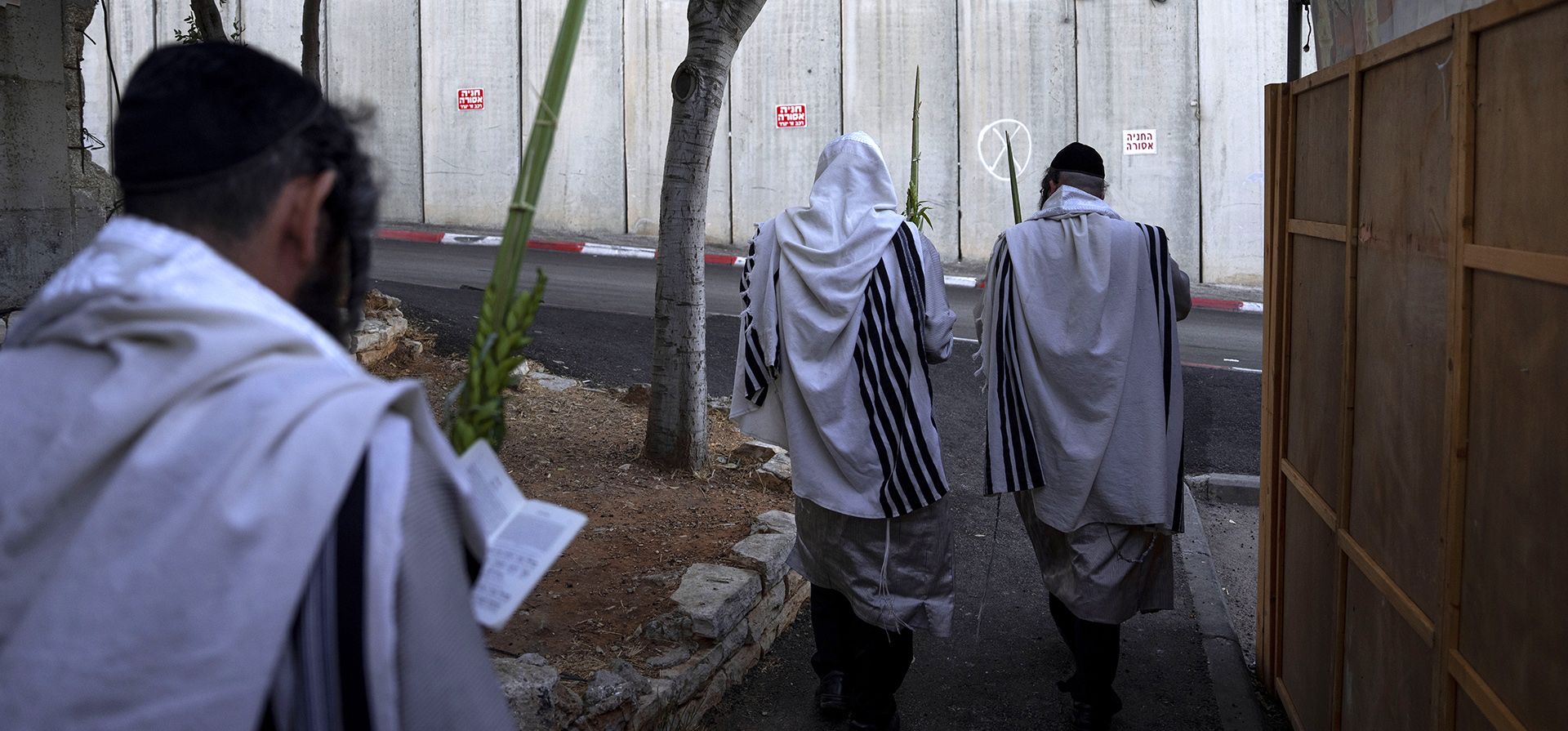 Judíos ultraortodoxos rezan junto a una sucá, una estructura temporal construida para la festividad judía de Sucot junto a la barrera de separación de hormigón en la ciudad de Belén, en Cisjordania, el martes 11 de octubre de 2022. La festividad de una semana de duración conmemora los 40 años de los israelitas vagando por el desierto y se erige una choza decorada fuera de las casas religiosas como señal de refugio temporal.