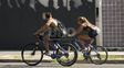 En lo que va de 2025, el 9 % de las personas fallecidas en siniestros viales en la provincia de Santa Fe eran ciclistas.