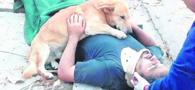 viral. El perro Tony acompañó a su dueño hasta que llegó el médico.