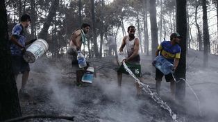 Aseguran que está controlado el voraz incendio en los bosques de Valeria del Mar