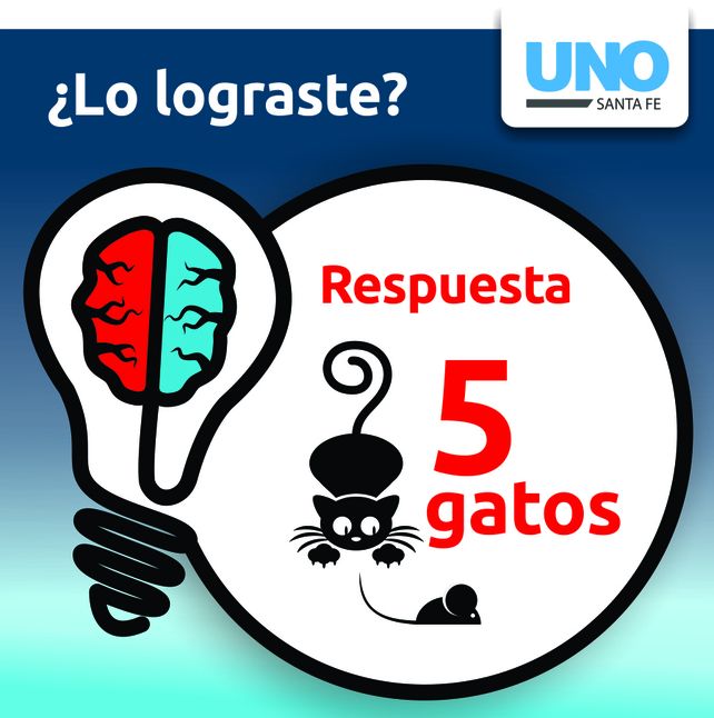 La respuesta al acertijo