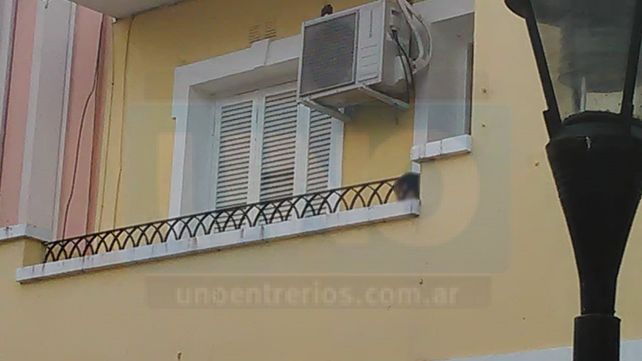 El pequeño fue contenido por un efectivo policial que accedió al balcón por una escalera