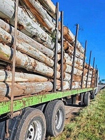 Tragedia en Ruta 14: murió un niño de dos años atropellado por un camión