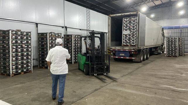 El envío certificado de 20 pallets de naranjas fue de 1.592 cajas y un peso total de 23.880 kilogramos.