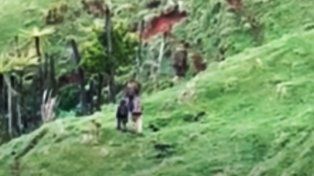 Nueva Zelanda: lo mataron tras pasar 4 años escondido con sus hijos en el bosque
