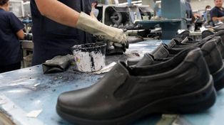 Las ventas minoristas cayeron 14,1 por ciento en mayo pasado