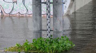 El río podría llegar a los 6,50 metros para la primera semana de enero