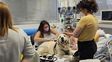 Un hospital de Rosario autorizará el ingreso de animales de compañía como apoyo emocional para niños internados Un hospital de Rosario autorizará el ingreso de animales de compañía como apoyo emocional para niños internados