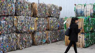 Día del reciclaje: uno de cada tres rosarinos separa sus residuos