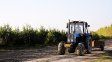 Día del Trabajador Rural: UATRE Entre Ríos denuncia alta precarización laboral y falta de condiciones dignas en los campos