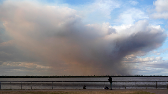 Las organizaciones ambientalistas aseguran que el nivel del río deja condiciones apropiadas para que se vuelvan a originar incendios y que la medida cautelar es la única herramienta para proteger este ecosistema.