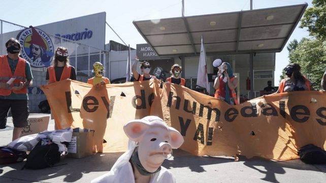 Escracharon al empresario ganadero que quería quedarse con 807 hectáreas en las islas
