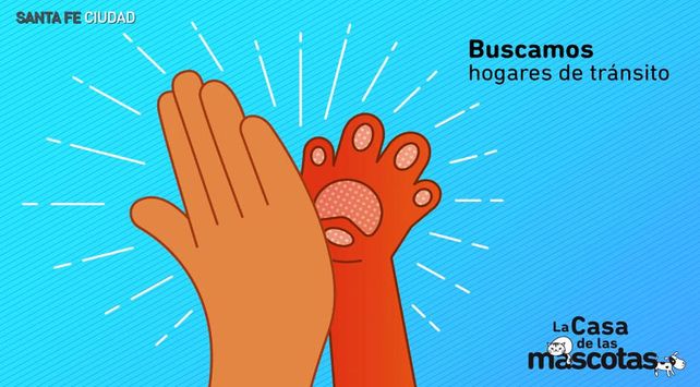 Hogar transito casa de las Mascotas