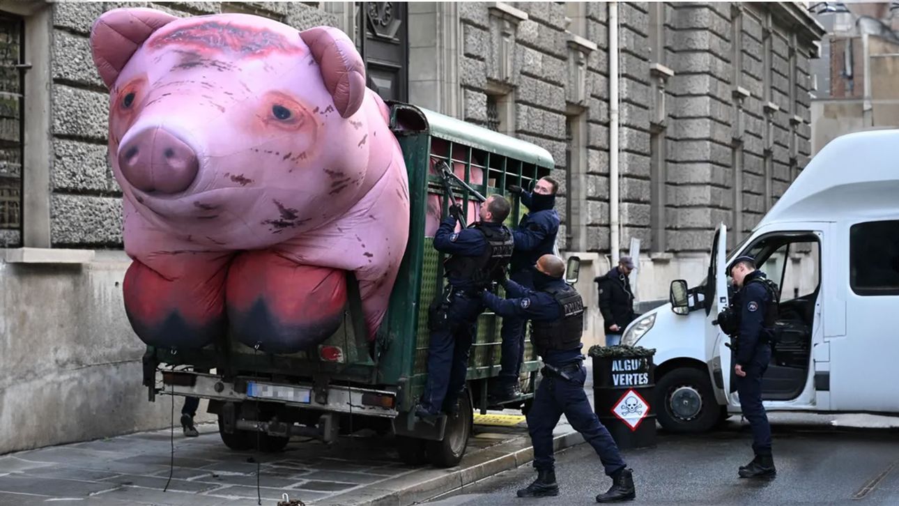 El día en imágenes alrededor del mundo
