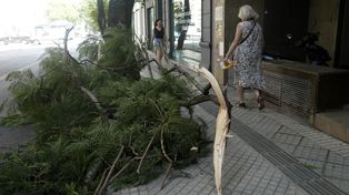Las fuertes ráfagas de viento se hicieron sentir esta mañana en la ciudad.