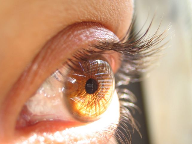 Los ojos delatan la impulsividad al tomar decisiones