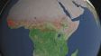 El 70 por ciento de los incendios forestales se produce en los pa&iacute;ses africanos