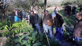 Huertas urbanas: comenzó un curso para personas con discapacidad