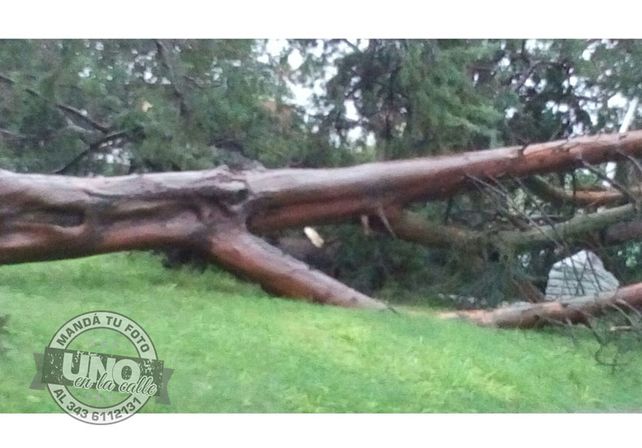 Terrible temporal de lluvia y viento generó graves destrozos en Paraná