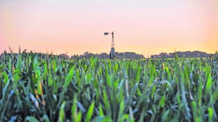 Los productores argentinos obtienen un 6 sobre 10 en sustentabilidad