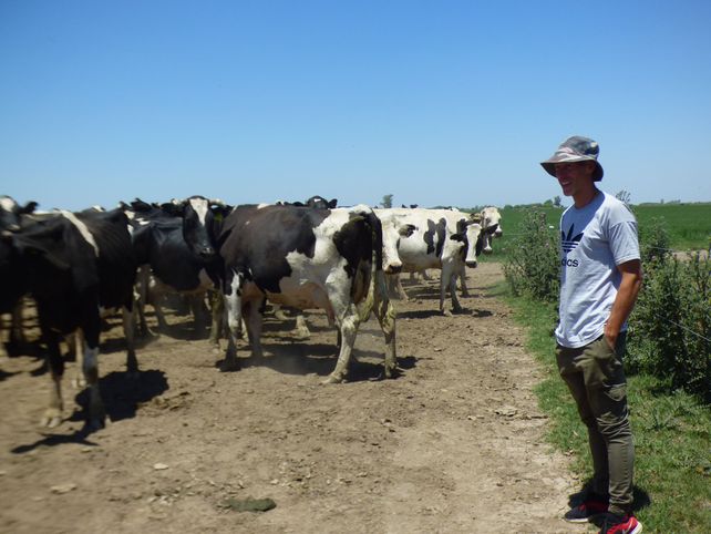La alimentación de los animales es netamente pastoril