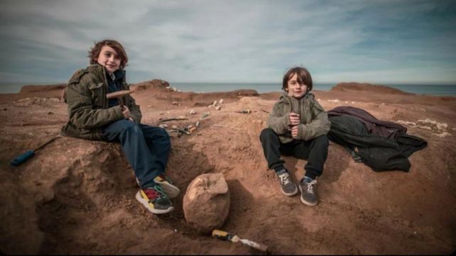 Un nene encontró en Santa Clara del Mar restos fósiles de más de 400 mil años
