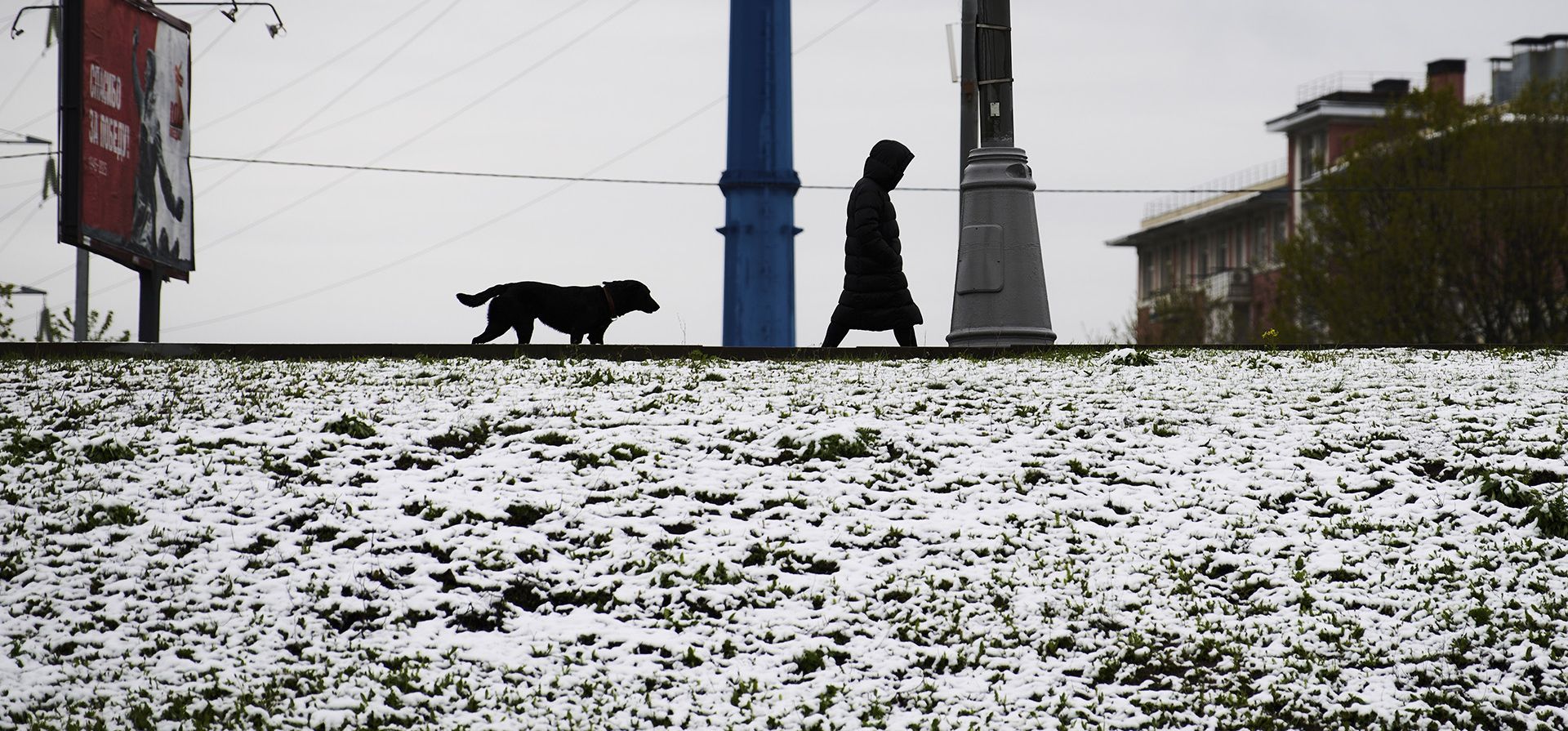 Una mujer pasea a su perro después de una nevada en Moscú, Rusia, el viernes 2 de mayo de 2025. (Foto AP/Dmitry Serebryakov) Una mujer pasea a su perro después de una nevada en Moscú, Rusia, el viernes 2 de mayo de 2025. (Foto AP/Dmitry Serebryakov)