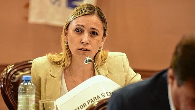 Se aprobó el Presupuesto, con la abstención de la oposición