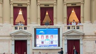 El desconocido que fue desalojado, justo arriba de la pantalla del recinto que transmite el debate por la ley ómnibus. Foto: Captura de Video