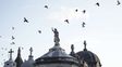 Cuáles son los tres motivos que dominan las causas de muerte en una Rosario que envejece