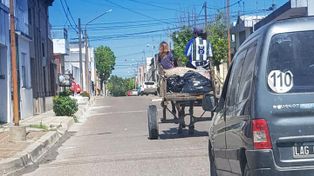 En Concordia buscan darle una prohibición definitiva a la tracción a sangre