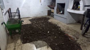 Caso Mónica Aquino: el dueño de la casa allanada dice que los restos encontrados son de sus perros&nbsp;