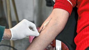 Donación de médula ósea: en Santa Fe hay 34.000 potenciales donantes inscriptos en Registro Nacional