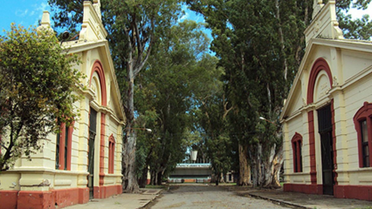 Proyectan un estadio cubierto en el predio de la ex Rural del parque  Independencia