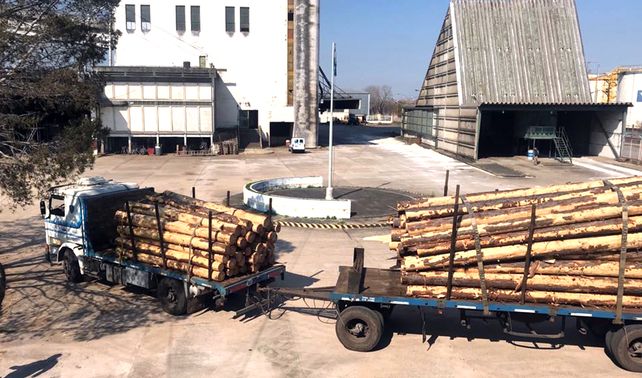 ACOPIO. El primer embarque tuvo como destino China. Desde el jueves llegan camiones para otro envío.&nbsp;