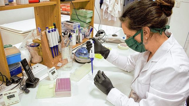 La medición de anticuerpos se realizará mediante un kit desarrollado por el Instituto Leloir de Conicet. La prueba utiliza una pequeña gotita de sangre de un pinchazo en un dedo. El resto de la información se recopilará mediante encuestas desarrolladas para realizar un estudio epidemiológico que revele factores de riesgo.