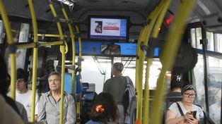 Las recompensas y los crímenes aún impunes se difunden en los colectivos de gestión municipal&nbsp; de Movi