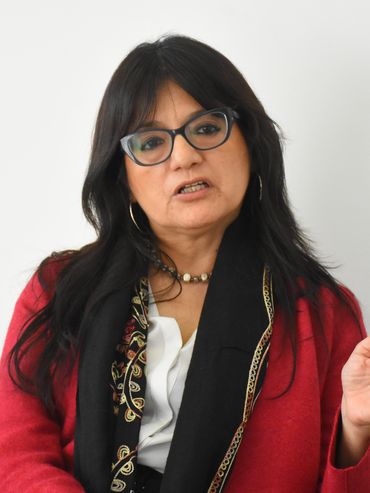 Crear una Oficina de Género en el Poder Judicial es un mensaje muy potente
