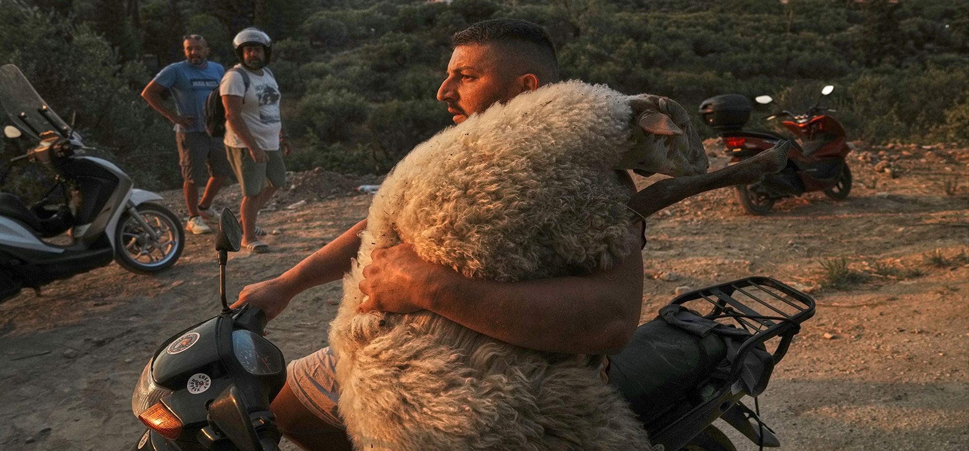 Olsen Mucobega, de 32 años, originario de Albania y residente en Grecia, lleva una oveja en su motocicleta durante un incendio forestal en la ciudad de Patras, en el oeste de Grecia, el miércoles 13 de agosto de 2025. (Foto AP/Thanassis Stavrakis) Olsen Mucobega, de 32 años, originario de Albania y residente en Grecia, lleva una oveja en su motocicleta durante un incendio forestal en la ciudad de Patras, en el oeste de Grecia, el miércoles 13 de agosto de 2025. (Foto AP/Thanassis Stavrakis)