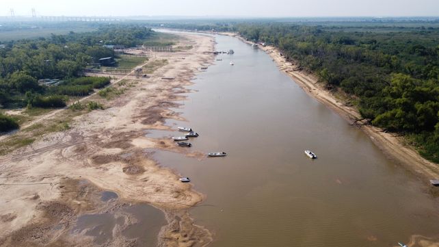 Día Mundial del Agua: bajante, sequía de lagunas y quemas amenazan a la fauna del Paraná