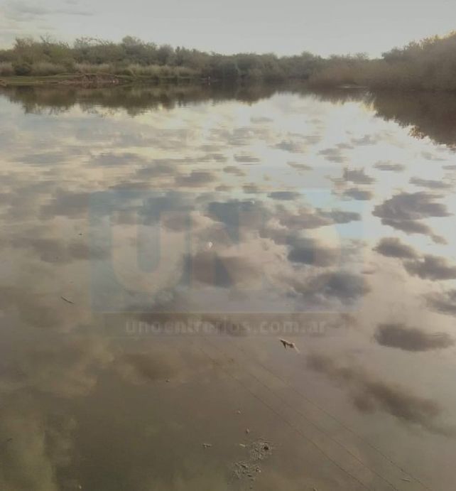 Vecinos de San José denunciaron mortandad de peces