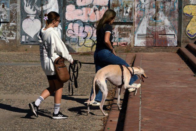 El tiempo en Rosario: martes con sol y la máxima en ascenso