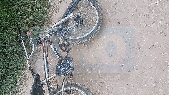 Lesiones graves: carro con caballo desbocado chocó a un niño en bicicleta