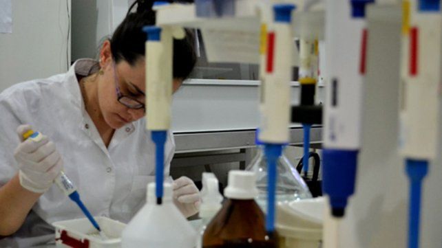 El BCRA y Conicet lanzan programa de apoyo a investigadores.