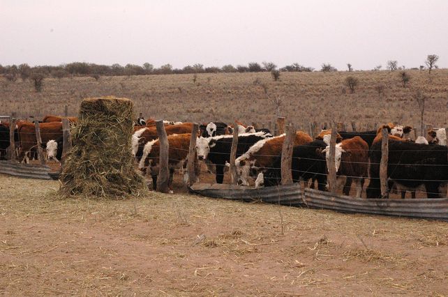 Campo extremo: el agro en el cambio climático