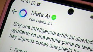Denunciaron a Whatsapp en Argentina por usar datos privados para entrenar su IA