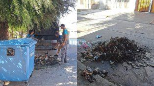 Incendios de contenedores: un gasto millonario que preocupa a la Municipalidad.
